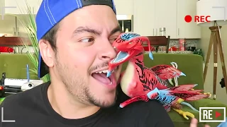 LUCCAS NETO BRINCANDO COM UM DRAGÃO AVATAR QUE SE MEXE SOZINHO