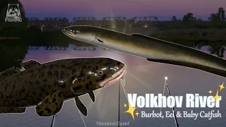 (RussianFishing4) Volkhov River Current Spot for Burbot, Eel & Baby Catfish