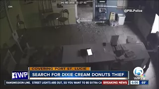 Clumsy donut shop burglar hits head, drops register