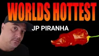 World's Hottest Pepper JP Piranha