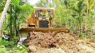 Bulldozers and Areca Palms: Creating Accessible Roads in Farm Settings || Bulldozer D6R XL