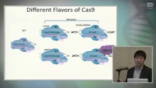 CRISPR-Cas9 Mediated Mouse Model Creation and Transcription Regulation - Haoyi Wang
