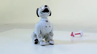 aibo commands - Sing a song