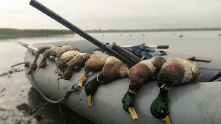 ОХОТА НА УТОК с новыми чучелами. Охота с манком на большей воде