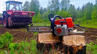 Валка деревьев Бензопилой Stihl MS 361