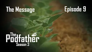 PF309   The Message   4K35