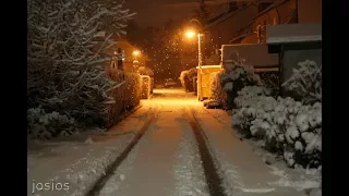 Снег во дворе Арвид