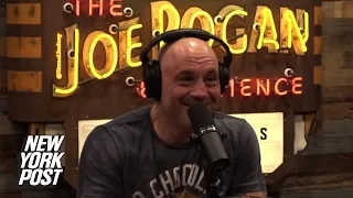 Joe Rogan tells listeners to ‘vote Republican,’ bashes Dems’ COVID-19 ‘errors’ | New York Post