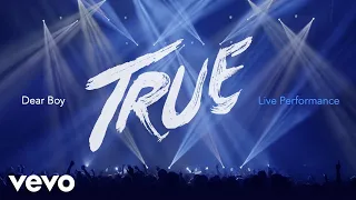 Avicii - Dear Boy (Live in Uncasville, True Tour 2014)