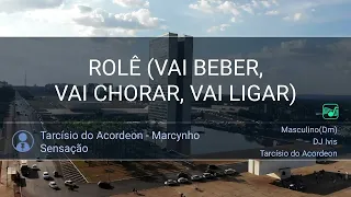 17369: TARCÍSIO DO ACORDEON / MARCYNHO SENSAÇÃO - ROLÊ (VAI BEBER, VAI CHORAR, VAI LIGAR)