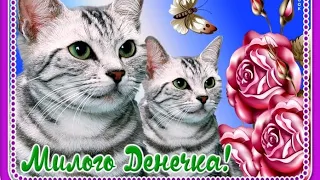 Добрые пожелания от милых животных  💞💕💗💖🤗🐱🐶🐈‍⬛🦮