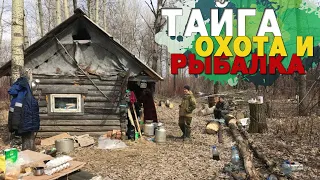 Тайга. Охота и рыбалка в Сибири. Дикая природа. Taiga. Hunting and fishing in Siberia.