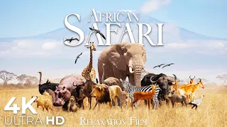 African Safari Animals 4K • Wildlife Relaxation Film • Relaxing Music with Video 4K Ultra HD