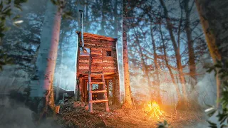 BUILT a TREE HOUSE with a STOVE - NIGHT in the WARM HOUSE | I survive alone in the forest