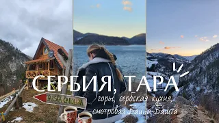 ВЛОГ СЕРБИЯ | Горы, сербская кухня, смотровая Баина-Башта