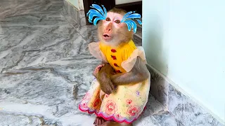 Monkey Kaka cries because he wants mom to hug and give her milk