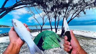 From Floods To Ocean Squalls - SOLO CAMPING An Uninhabited Island - Catch & Cook