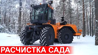 Трактор МФ705 Станислав с лесным мульчером SERRAT FX+ T2000 расчистка старого яблоневого сада