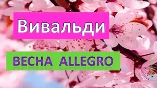 Вивальди Концерт № 1 ми мажор «Весна»  Allegro.  Вивальди  "Весна" в исполнении квартета флейтистов.