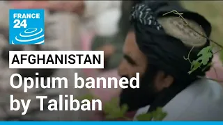 Afghanistan: Drug cultivation, including lucrative opium, banned by Taliban • FRANCE 24 English