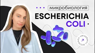 Кишечная палочка | Escherichia coli