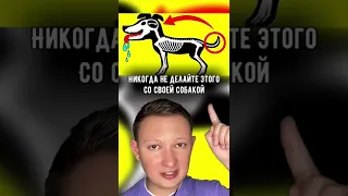 Никогда не делайте этого со своей собакой