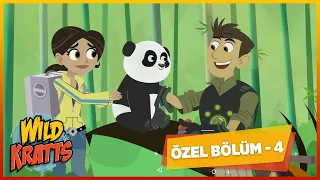 Kratt Kardeşler | 2 Bölüm Bir Arada - 4 | Çizgi Film | minikaGO