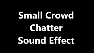 Small Crowd Chatter Sound Effect