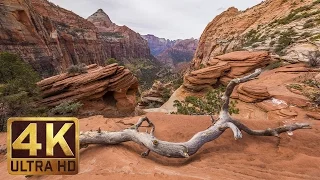 Zion National Park. Autumn | 4K Nature Documentary Film - Trailer