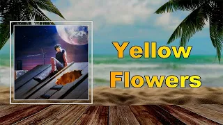 Alfie Templeman - Yellow Flowers (Lyrics)