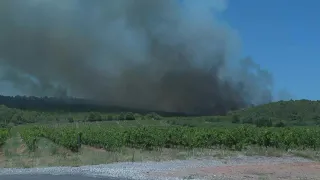 Incendie dans les Pyrénées-Orientales : reprise du feu au-dessus du village d'Opoul | AFP Images