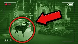 10 Times Rudolph The Red Nosed Reindeer Was CAUGHT ON CAMERA!