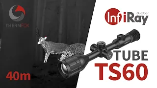 Thermfox - InfiRay TUBE TS60 #deer #thermalimaging @InfiRayOutdoor