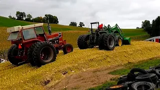 Chopping Corn Silage On A Wisconsin Dairy Farm! Part Two (Harvest Season 2023)