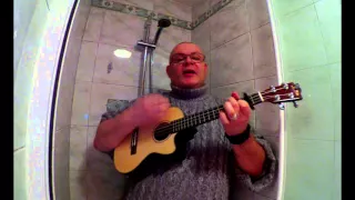 Shower cover : Mercedes Benz - Janis Joplin