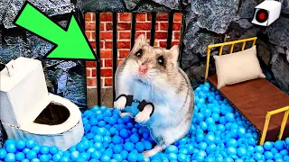 🐹Hamster Escapes the Amazing Maze and Traps😱[OBSTACLE COURSE]😱 + ZOMBIES