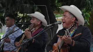 El Condesa del Mar de Bertin y Lalo - Quiero Saber (Video)