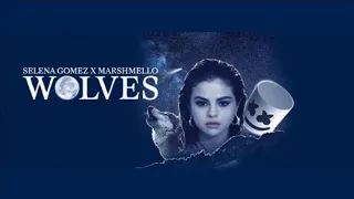 Marshmello x Selena Gomez - Wolves (Instrumental)