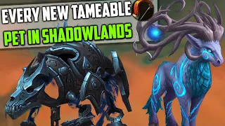 Every New Tameable Shadowlands Hunter Pet and Where to Find Them