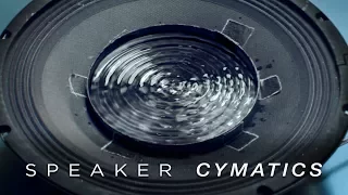 Cymatics: Speaker Dish