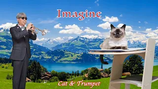 "Imagine" 트럼펫커버(Trumpet Cover)