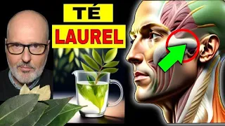 DISEASES that HEAL with LAUREL TEA (HOW TO USE IT)