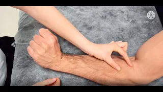 Anatomía palpatoria antebrazo