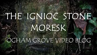 Ogham Grove Video Blog ~ The Ignioc Stone, Moresk