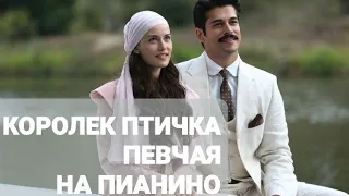 Мелодия из сериала "Королек  птичка певчая"на пианино