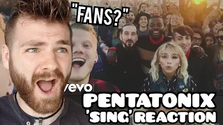 First Time Hearing PENTATONIX "SING" Reaction