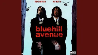 BLUEHILL AVENUE (feat. WB Nutty)