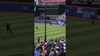 Fans run on the field at the Mets Game #mlb #mets #baseball