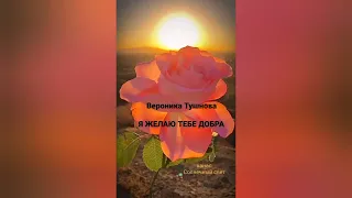 Вероника Тушнова "Я ЖЕЛАЮ ТЕБЕ ДОБРА" 🤲☀️ Secret Garden - Song from a Secret Garden 🎼🎹