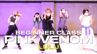 LULU BEGINNER CLASS | BLACKPINK - Pink Venom | @justjerkacademy ewha